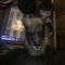Profile Picture of Benjamin Frisch (@benjamin.frisch.148) on Facebook