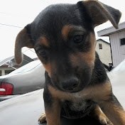 Profile Picture of Itza Gonzalez (@itzagonzalez5410) on Youtube