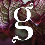 Profile Picture of Gail Smith (@gailsmithflowers) on Instagram