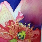 Profile Picture of Lynn Wiley (@lynn03753) on Instagram