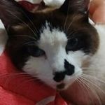Profile Picture of Tania Scott (@tania.scott.794) on Instagram