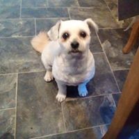 Profile Picture of Mistie Tinker (@mistie-tinker) on Quora