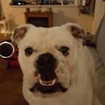 Profile Picture of Todd Eason (@todd_eason) on Instagram