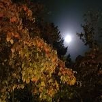 Profile Picture of Brian Waddell (@beavenlight) on Instagram