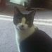 Profile Picture of Felix Carroll (@felix.carroll.5) on Facebook