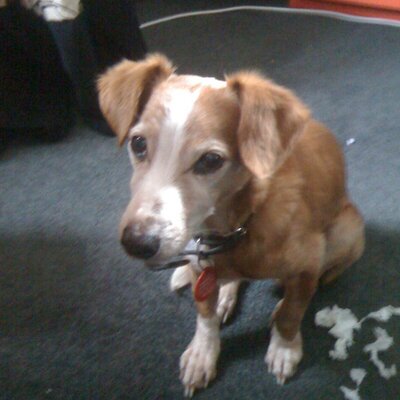 Profile Picture of Jeanette Spooner (@jeanettespo) on Twitter