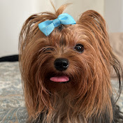 Profile Picture of MARIA IBIS CAMPOS (@mariaibiscampos197) on Youtube