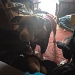 Profile Picture of Jesse Baker (@Jesse-Baker) on Facebook