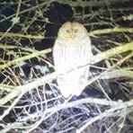 Michael Horsley - Facebook Profile Picture of Michael Horsley (@michael.horsley.575622) on Facebook