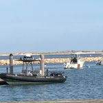 Profile Picture of Jimmy Pappas (@jimmychatham) on Instagram