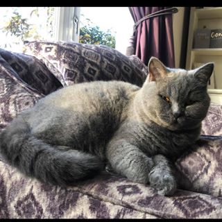 Profile Picture of Carl Latham (@carl.latham.58) on Facebook