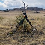 Profile Picture of Jason Wojciechowicz (@jason_wojo) on Instagram