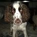 Profile Picture of Henry Calvert (@henry.calvert.125) on Facebook
