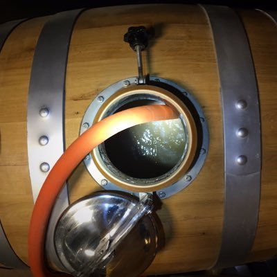 Profile Picture of Ian Crane (@sickpellicle) on Twitter