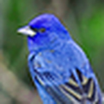 Profile Picture of Jessica Stuart (@jessica pix) on Flickr