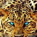 Profile Picture of Allen Hugh (@allen.hugh.12) on Facebook