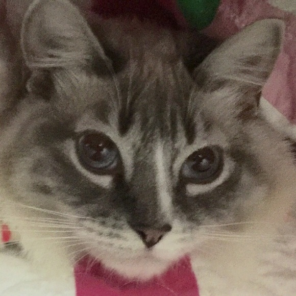 Profile Picture of June Wallace (@junevill) on Poshmark