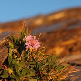 Profile Picture of ChiehLin (@ChiehLin6) on Twitter