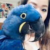 Profile Photo of Danielle Lee (@danielle5858) on Tiktok