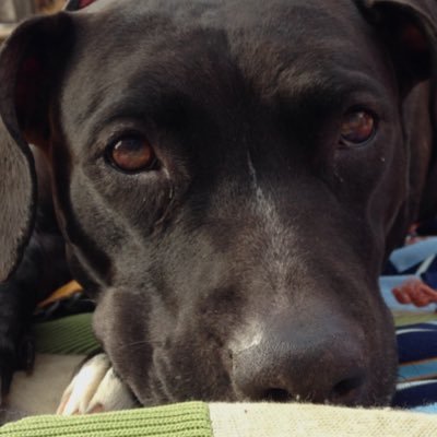 Profile Picture of Colby Kramer (@TimeToCelly) on Twitter