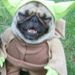 Profile Picture of Bobby Robles (@bobbyr0827) on Pinterest