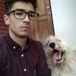 Marco Almaguer - Instagram Profile Picture of Marco Almaguer (@kito_804) on Instagram