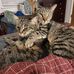 Profile Picture of Pamela Cain (@pamela.cain.5836) on Facebook