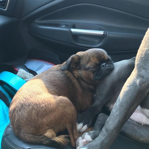 Profile Picture of Emily Schmeiser (@emilyschmeiser) on Poshmark