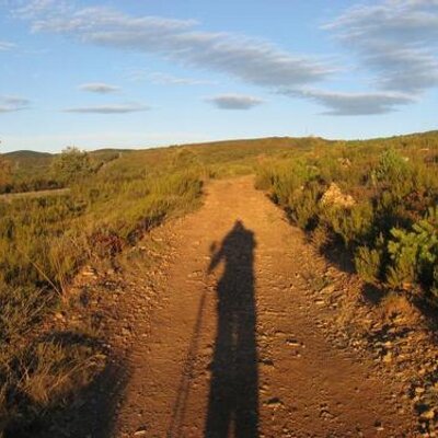 Profile Picture of Benjamin Rost (@benrost) on Twitter