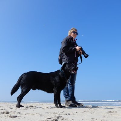 Profile Picture of BarrY_MilloW20 (@LauraHeck84) on Twitter
