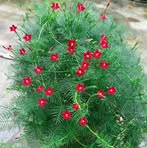 Profile Picture of Jolly Joseph Mathew (@Jolly-Joseph-Mathew) on Facebook