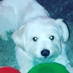 Profile Picture of Pablo José Guadamuz Gonzalez (@pablojoseguadamuz) on Instagram