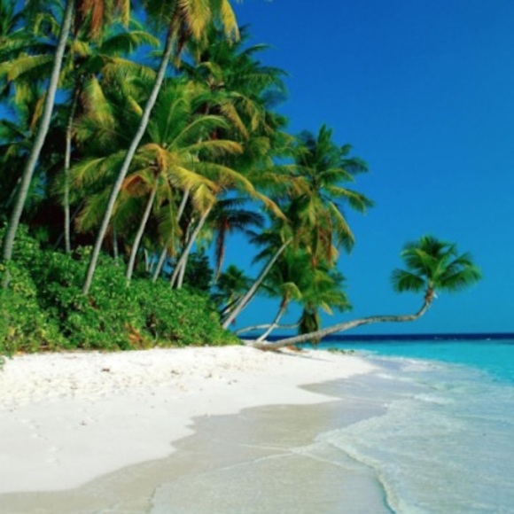 Profile Picture of Muneeb Khan (@muneebk5824) on Poshmark