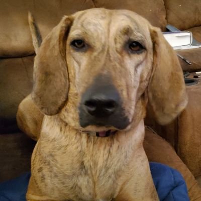 Profile Picture of Mandy Bogart (@BogartMandy) on Twitter