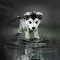 Profile Picture of Kevin Marin (@kevin-marin-44) on Quora