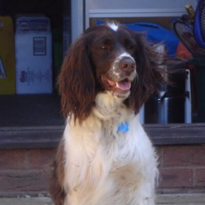 Andy Redman - Twitter Profile Picture of Andy Redman (@redders1957) on Twitter