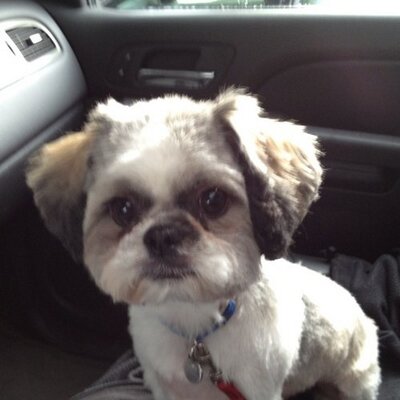 Joe Soucy - Twitter Profile Picture of Joe Soucy (@@nwff1) on Twitter