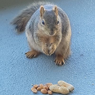 Ralph Haynes - Twitter Profile Picture of Ralph Haynes (@RalphHa84153769) on Twitter