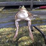 Profile Picture of Mike Pearston (@mikee_pearston) on Instagram