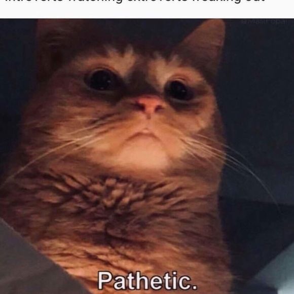 Profile Picture of David Cook (@ddewey1981) on Poshmark