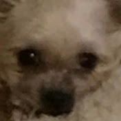 Profile Picture of Doris Ross (@dorisross2334) on Youtube