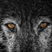 Profile Picture of Cynthia Gustin (@cynthia.gustin.90) on Facebook