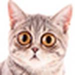 Profile Picture of Edvardas.malkevicius (@edvardas.malkevicius) on Flickr