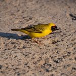 Richard Swemmer - Media Crazy - Instagram Profile Picture of Richard Swemmer - Media Crazy (@media_crazy) on Instagram