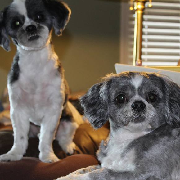 Profile Picture of Lisa Matthews (@lisainglasgow) on Poshmark