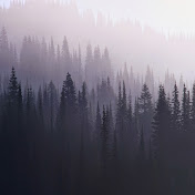 Profile Picture of James Mahoney (@jimmymahoney11) on Youtube