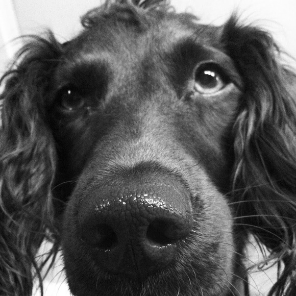 Profile Picture of Campbell Bryan (@cbryan83) on Poshmark