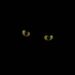 Profile Picture of Alexander Simonovic (@aca0123425) on Pinterest