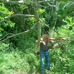 Profile Picture of Arturo Borrego (@Arturo-Borrego) on Facebook