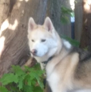 Profile Picture of George Ritchie (@george.ritchie.7796) on Facebook